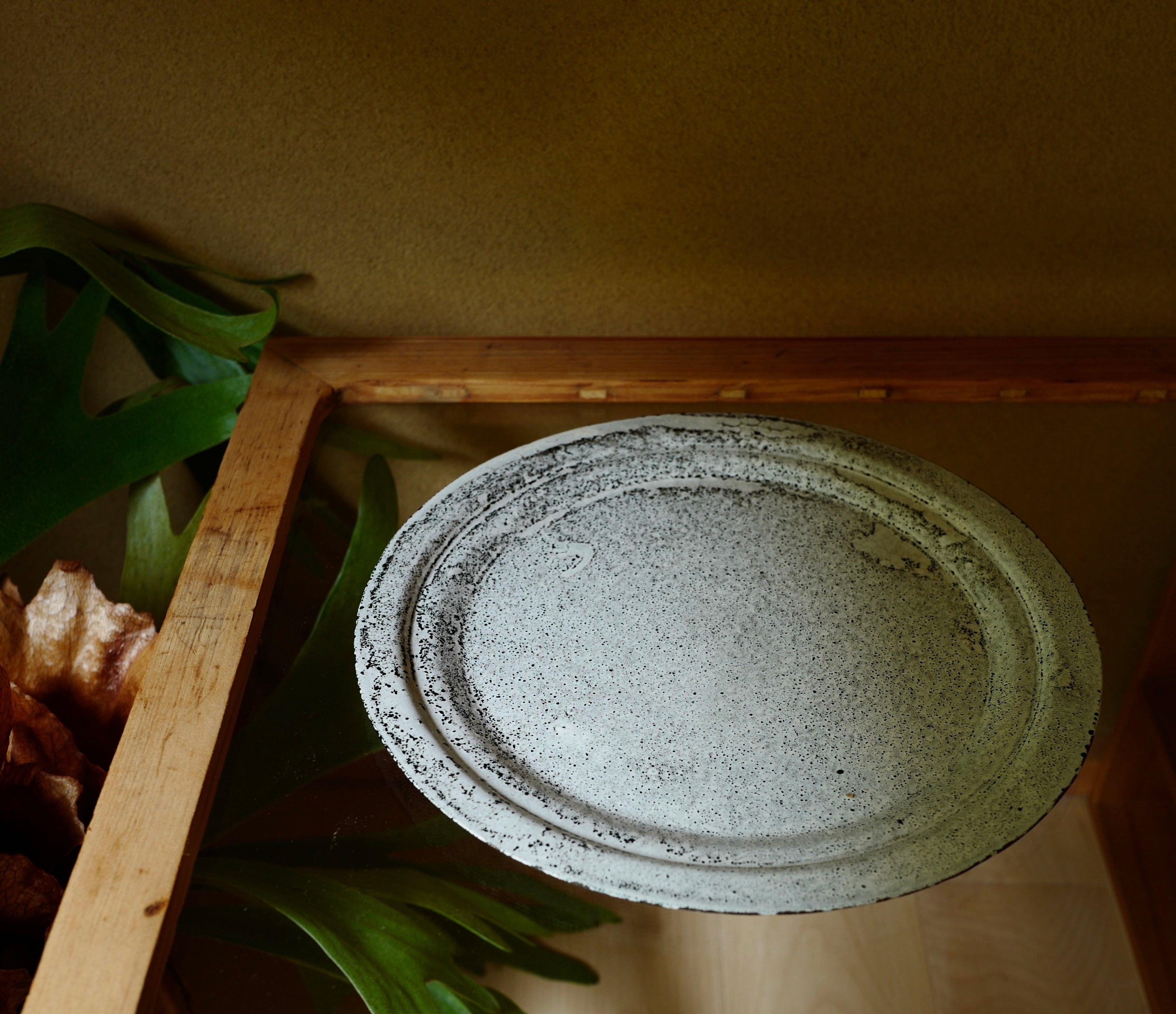白琺瑯皿（大）plate