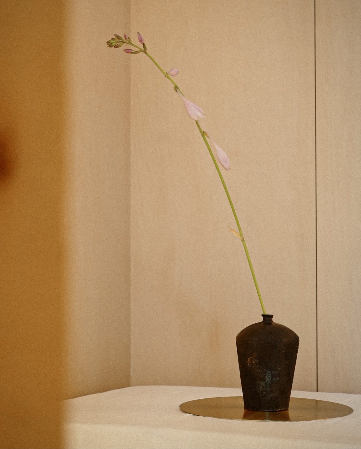 image_43cf31fe-7cc3-46bd-b9d5-